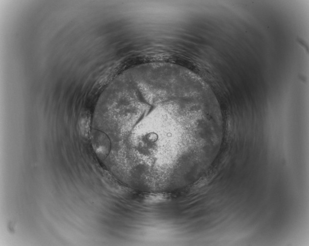 X0000099580177200806131326