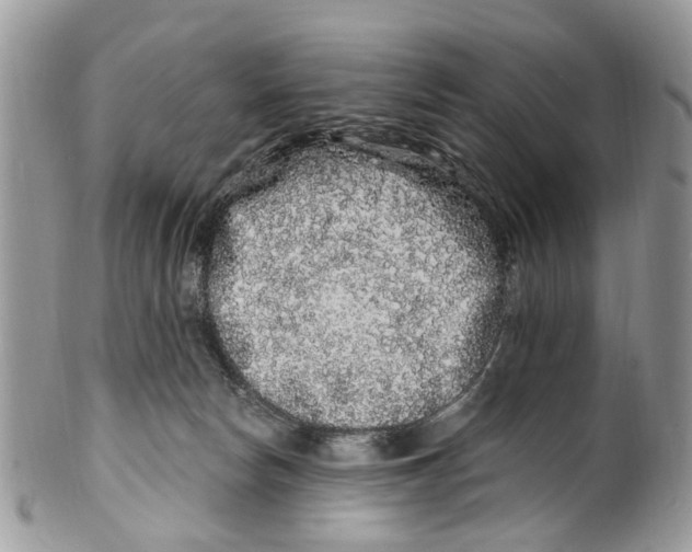 X0000099580178200806131326