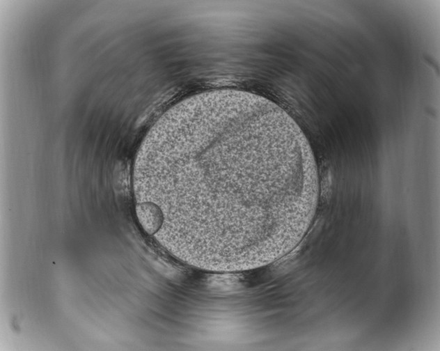 X0000099580179200806131326