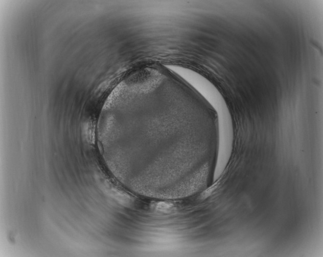 X0000099580180200806131326