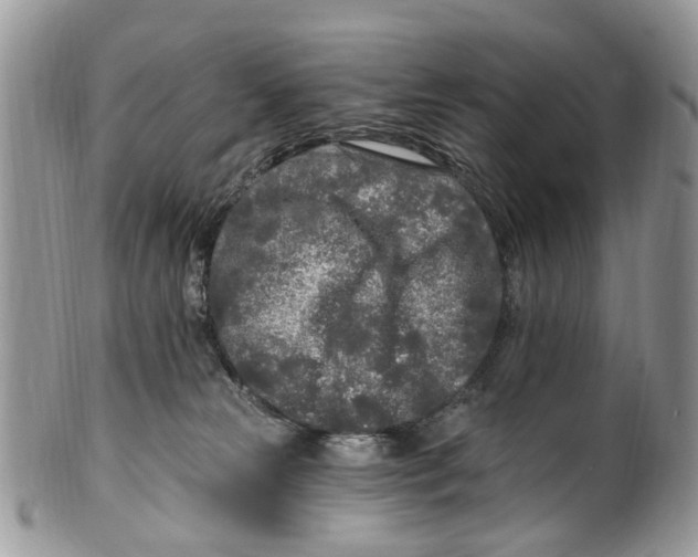 X0000099580181200806131326