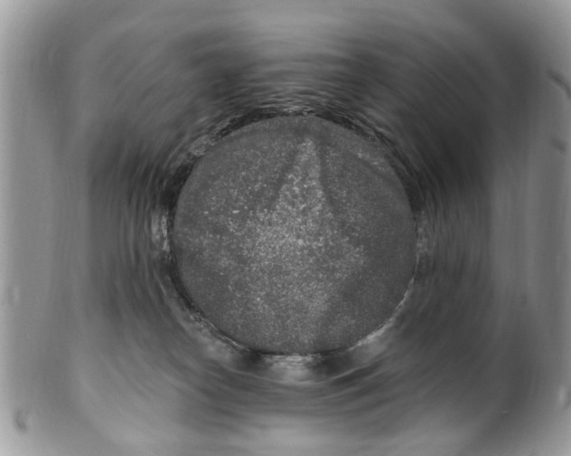 X0000099580182200806131326