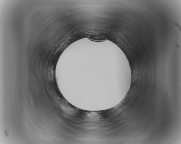 X0000099580183200806131326