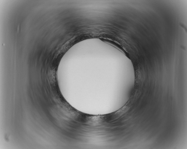 X0000099580184200806131326