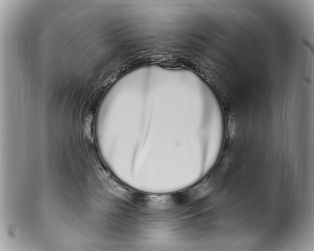 X0000099580185200806131326