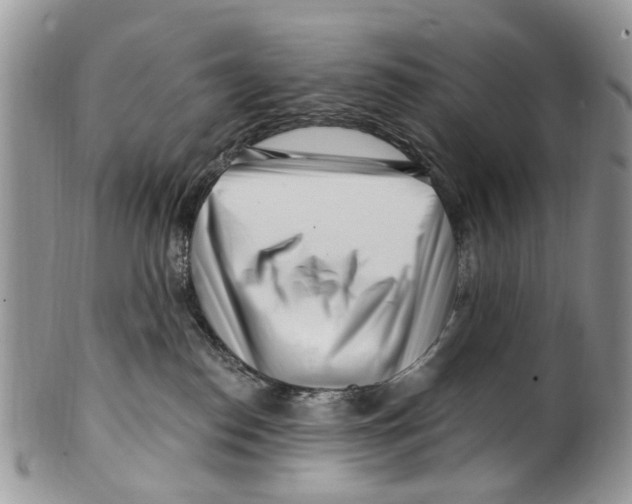 X0000099580186200806131326