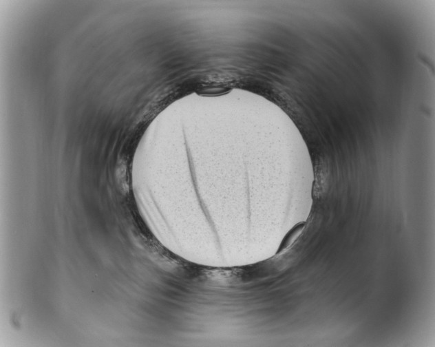 X0000099580187200806131326