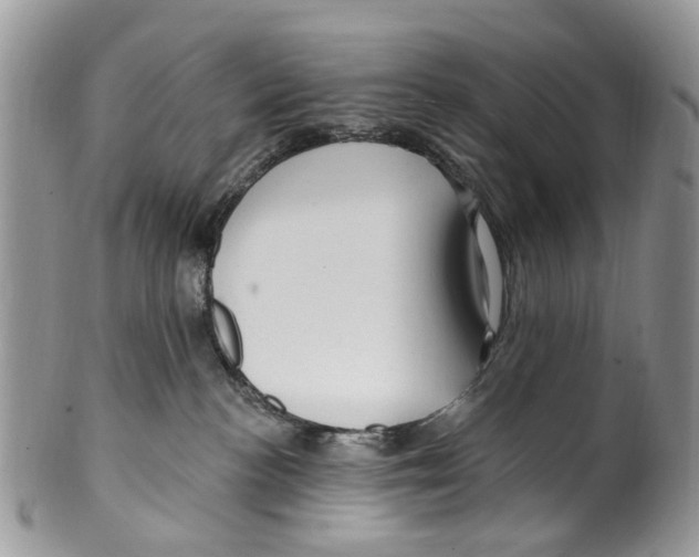 X0000099580188200806131326