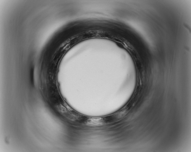 X0000099580189200806131326