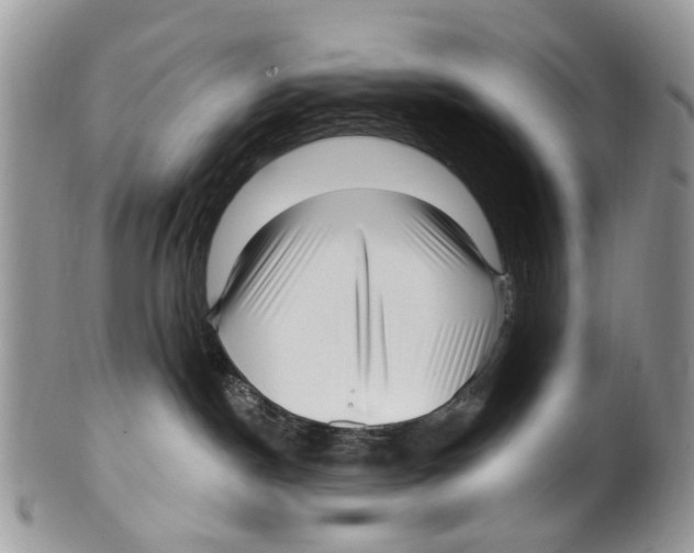 X0000099580190200806131326