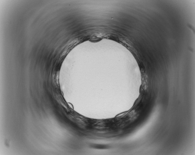 X0000099580191200806131326