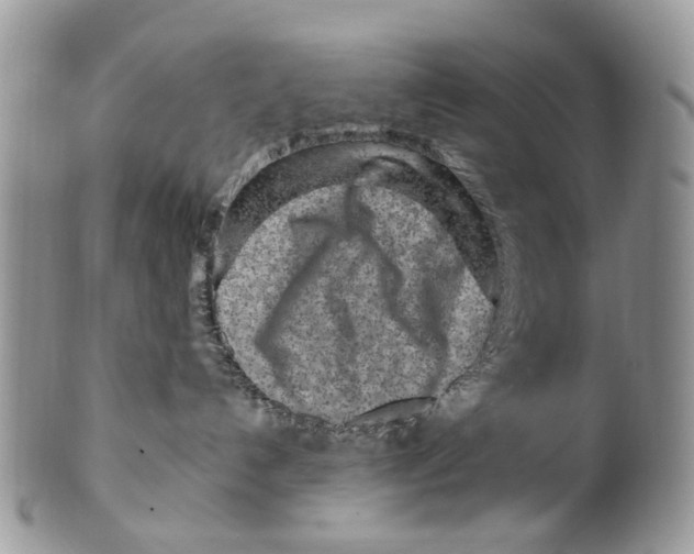 X0000099580192200806131326