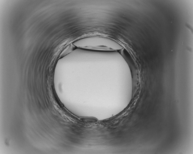 X0000099580193200806131326