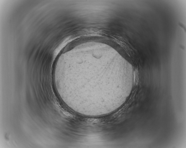 X0000099580195200806131326