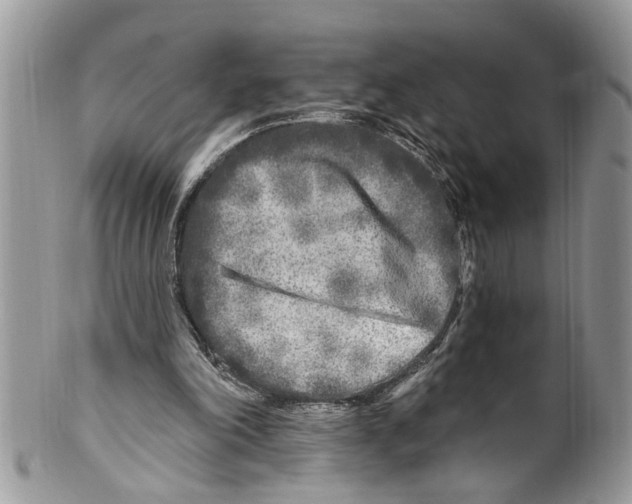 X0000099580198200806131325