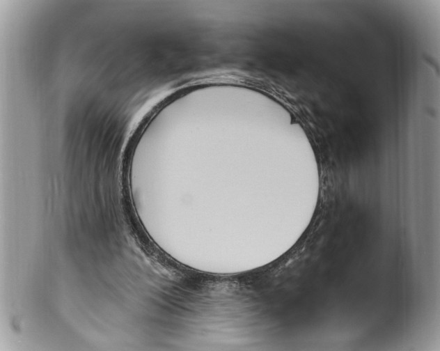 X0000099580200200806131325