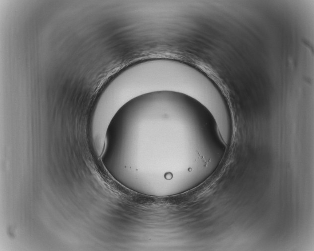 X0000099580201200806131325