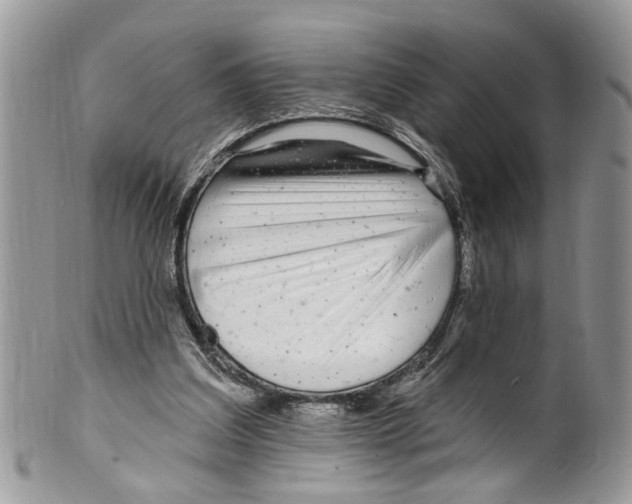 X0000099580203200806131325