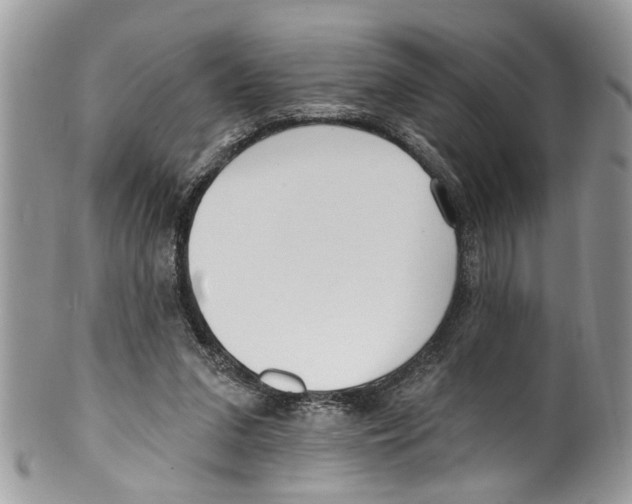 X0000099580207200806131325