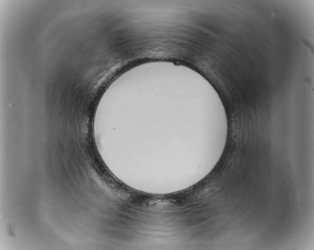 X0000099580208200806131325