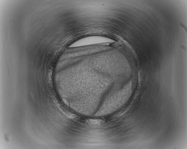 X0000099580209200806131325