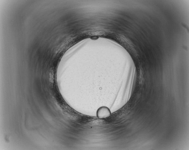 X0000099580210200806131325