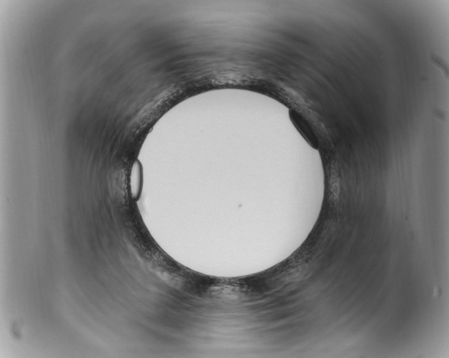 X0000099580211200806131325