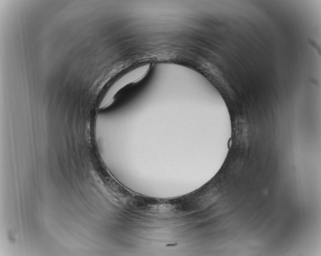 X0000099580212200806131325