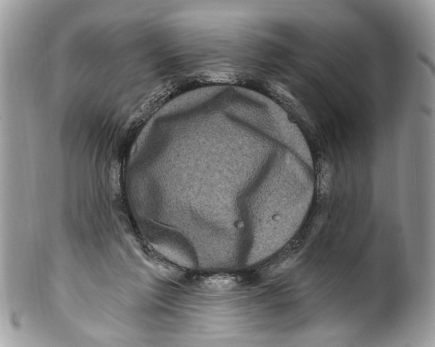 X0000099580213200806131325