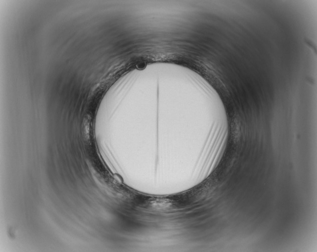 X0000099580214200806131325