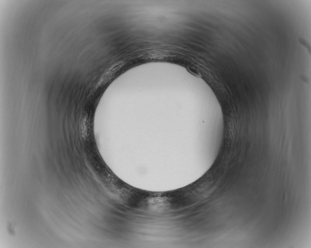 X0000099580216200806131325