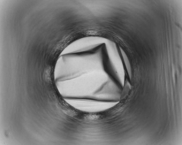 X0000099580217200806131325