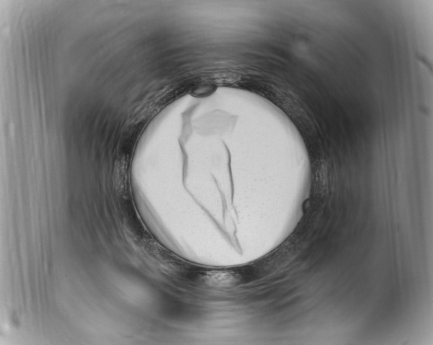 X0000099580218200806131325