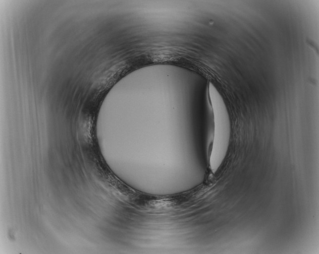 X0000099580219200806131325