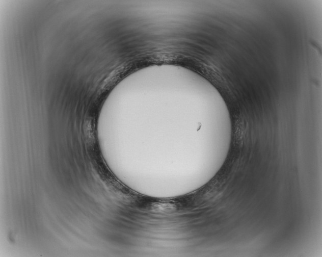 X0000099580220200806131325