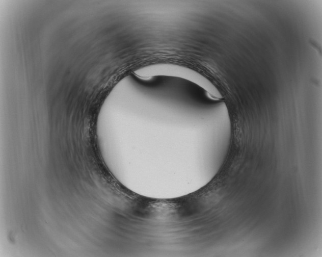 X0000099580221200806131325