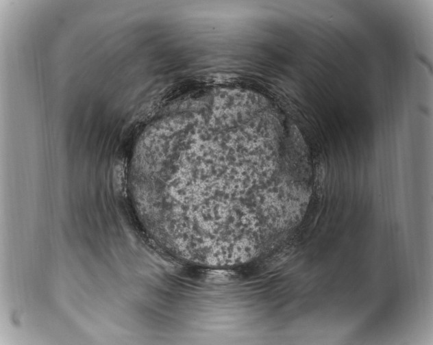 X0000099580222200806131325