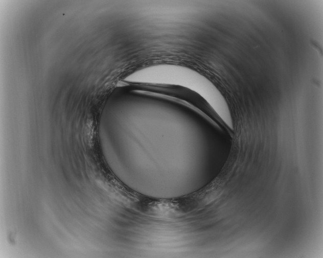 X0000099580223200806131325