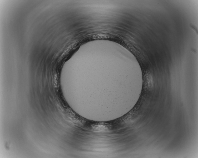 X0000099580224200806131325