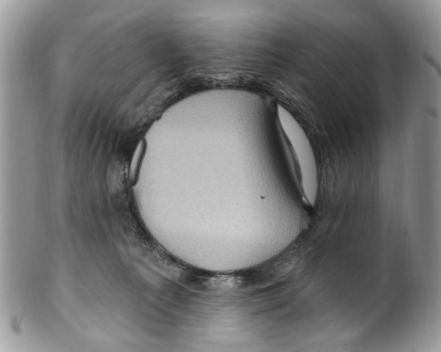 X0000099580225200806131325