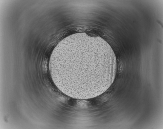 X0000099580226200806131325