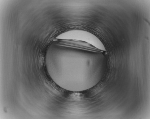 X0000099580227200806131325