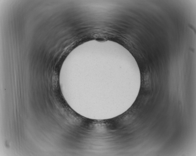 X0000099580228200806131325