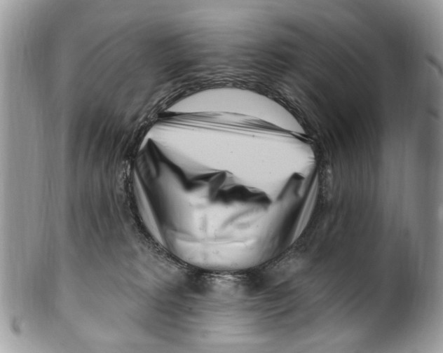 X0000099580229200806131325