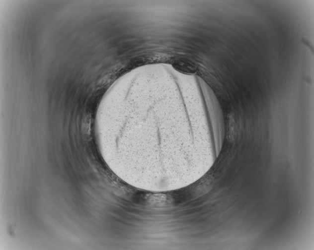 X0000099580230200806131325