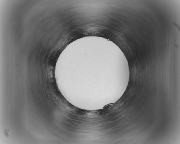 X0000099580232200806131325