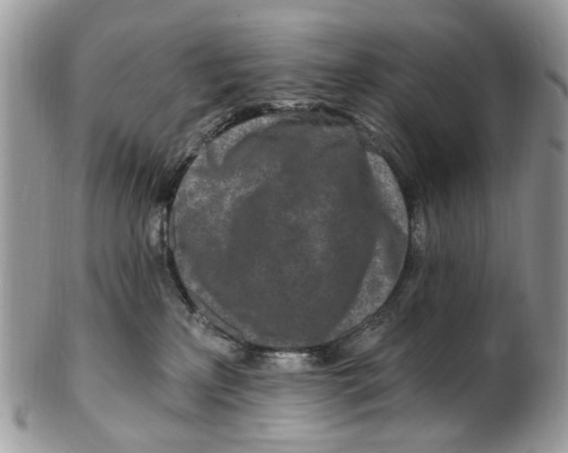 X0000099580233200806131325