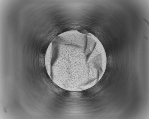 X0000099580234200806131325