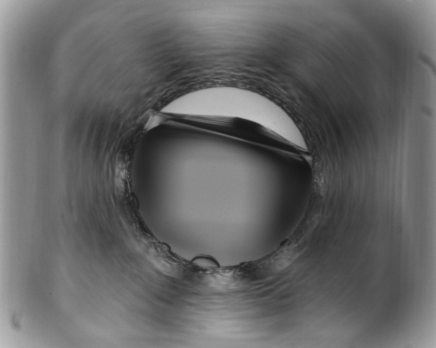 X0000099580235200806131325