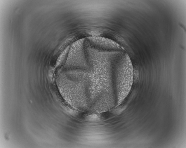 X0000099580237200806131325